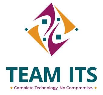 TEAM ITS, LLC